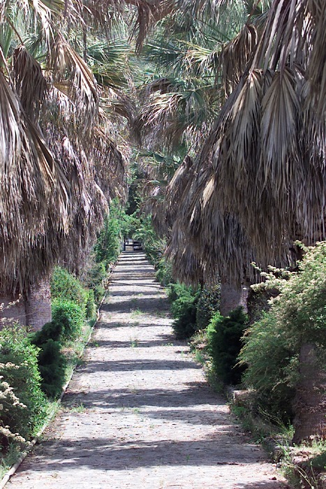 Giardino botanico