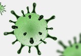 Coronavirus - Ordinanza n.80 Regione Calabria